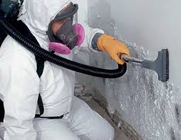 Biohazard Mold Removal in Port Royal, SC